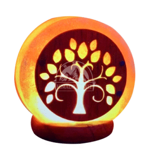 3D Salt lamp 3063