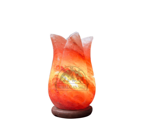 3055- Flower Shape Lamp