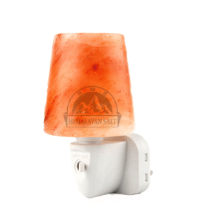 3074-Night light