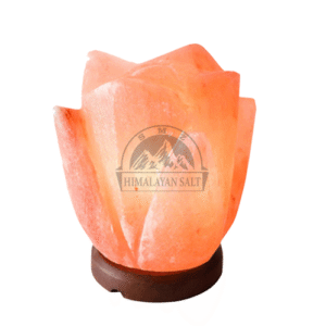 3050-Lotus shape lamp