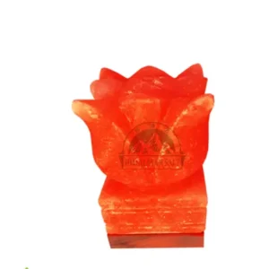 Flower Shape Salt Lamp 1046