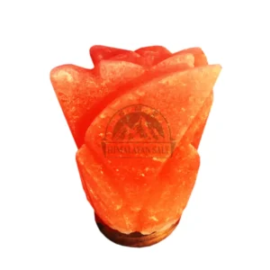 Flower Shape Salt Lamp 3044